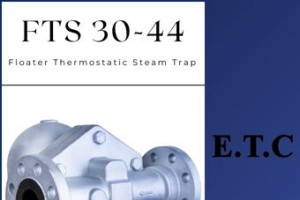 Floater Thermostatic Steam Trap Type FTS 30-44