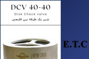 شیر یک طرفه بین فلنجی DCV 40-40